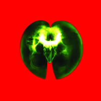 Anatomy 2<br>2012, 100x100 , composit, digital printing with UY-curable inks