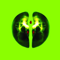Incision 2<br>2012, 100x100 , composit, digital printing with UY-curable inks