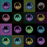 Plagiarism 1<br>2012, 100x100 , composit, digital printing with UY-curable inks