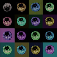 Plagiarism 3<br>2012, 100x100 , composit, digital printing with UY-curable inks