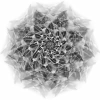  (PSI 25)<br>2013, 90x90 ,  , , -, 