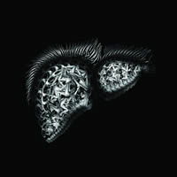   (PSI 27)<br>2013, 90x90 ,  , , -, 