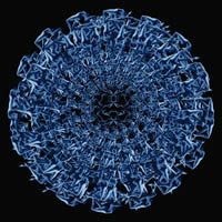 -0 (PSI 31)<br>2013, 90x90 ,  , , -, 