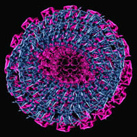 -9 (PSI 35)<br>2013, 90x90 ,  , , -, 