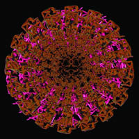 -10 (PSI 36)<br>2013, 90x90 ,  , , -, 