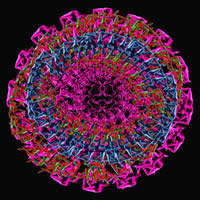 -8 (PSI 37)<br>2013, 90x90 ,  , , -, 