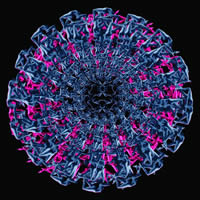-11 (PSI 38)<br>2013, 90x90 ,  , , -, 