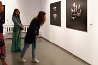 Exhibition in the Moscow Center for Contemporary Art Winery