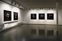 Exhibition in the Moscow Center for Contemporary Art Winery